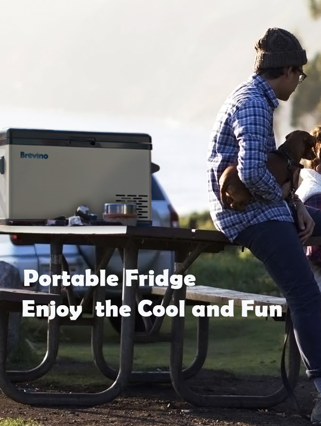 Portable Fridge